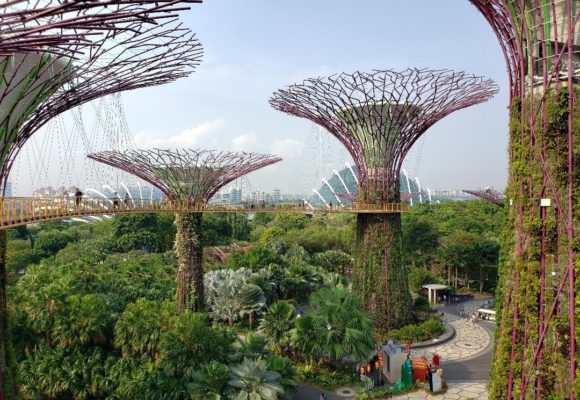 Writer’s Travel Guide to Singapore: Best Writing Spots