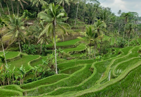 Places in Bali Overcrowded with Tourists (& Better Alternatives to Consider)