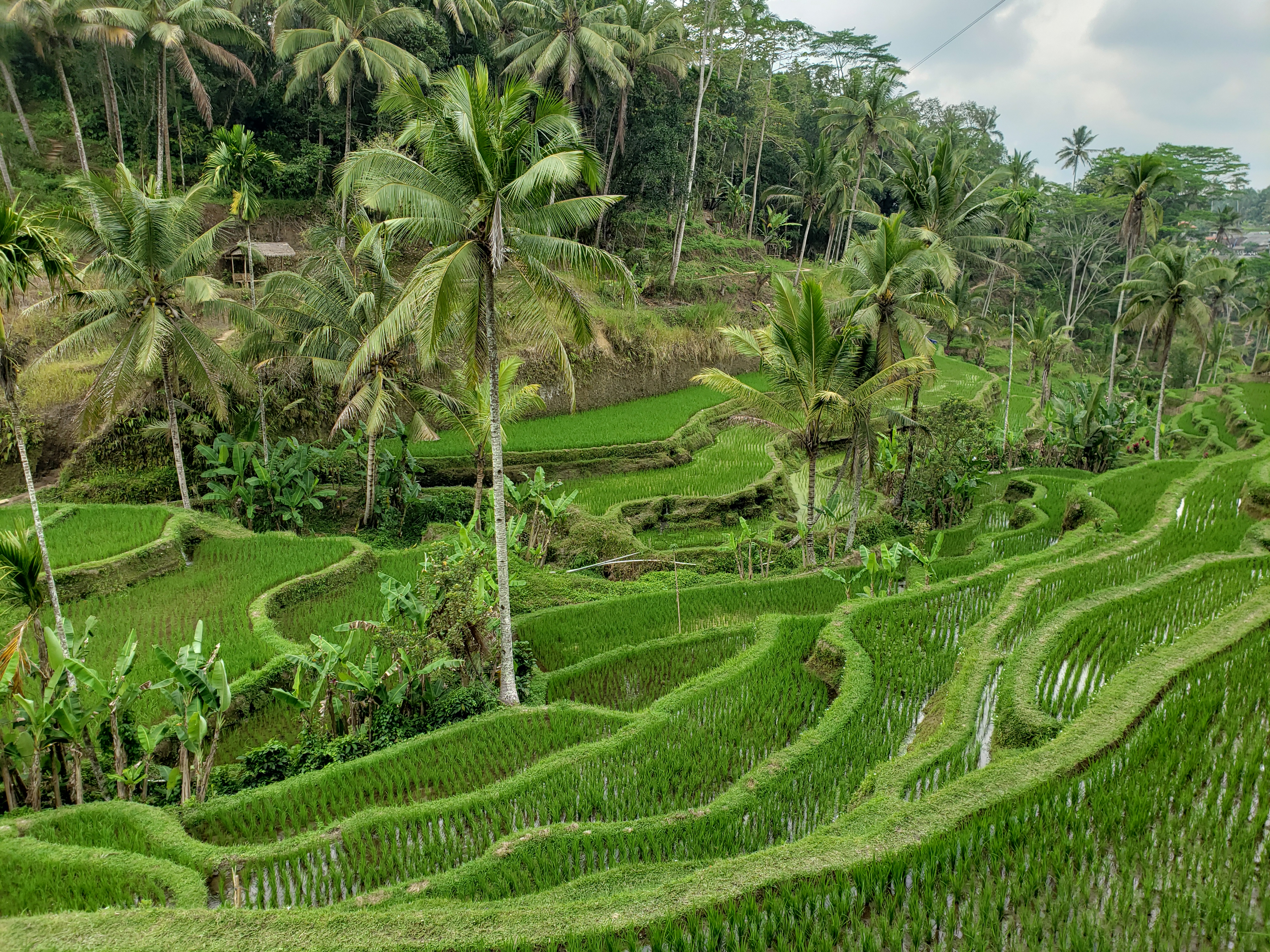 Places in Bali Overcrowded with Tourists (& Better Alternatives to Consider)