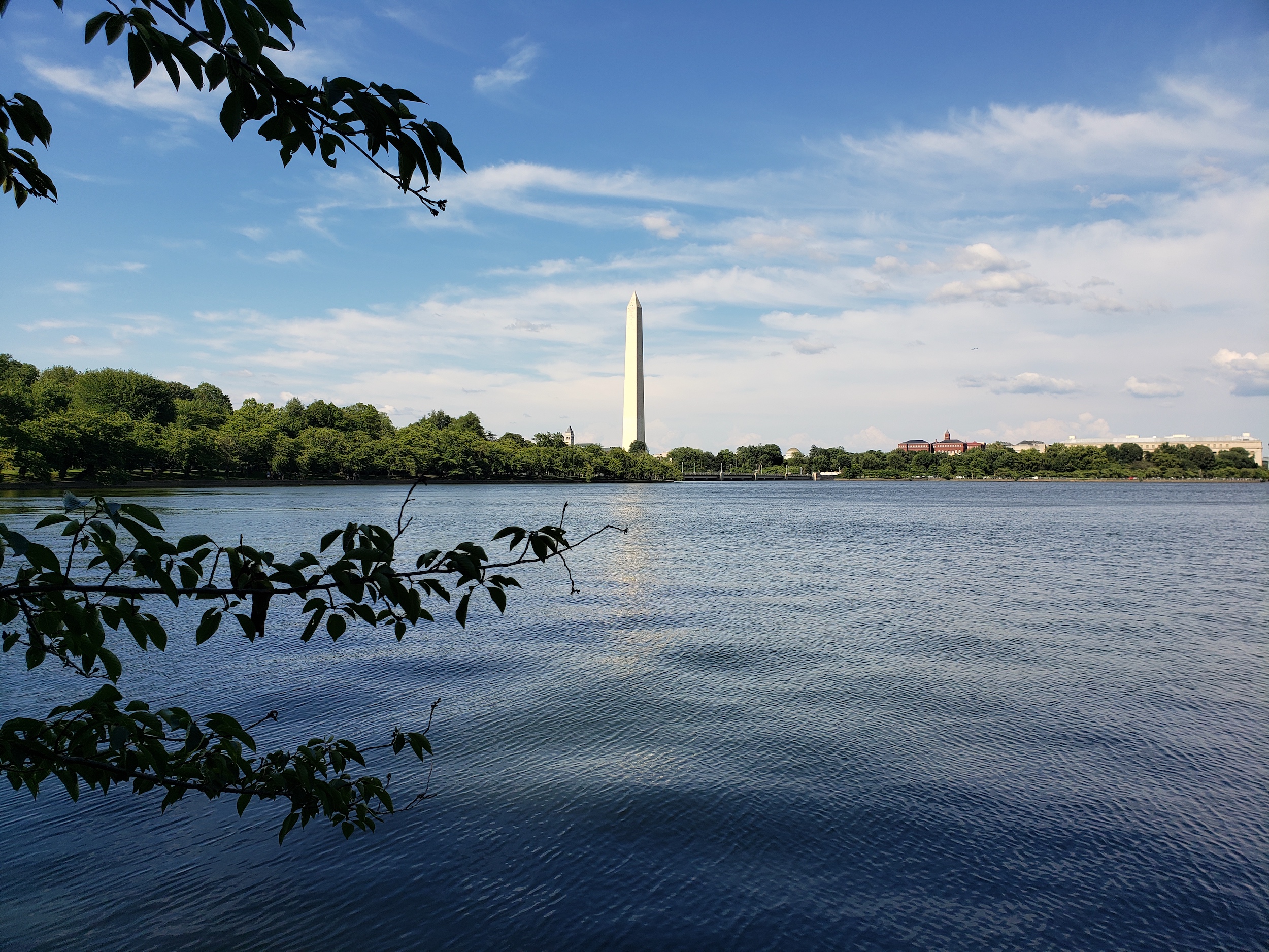 Writer’s Travel Guide to Washington, DC: Best Writing Spots!