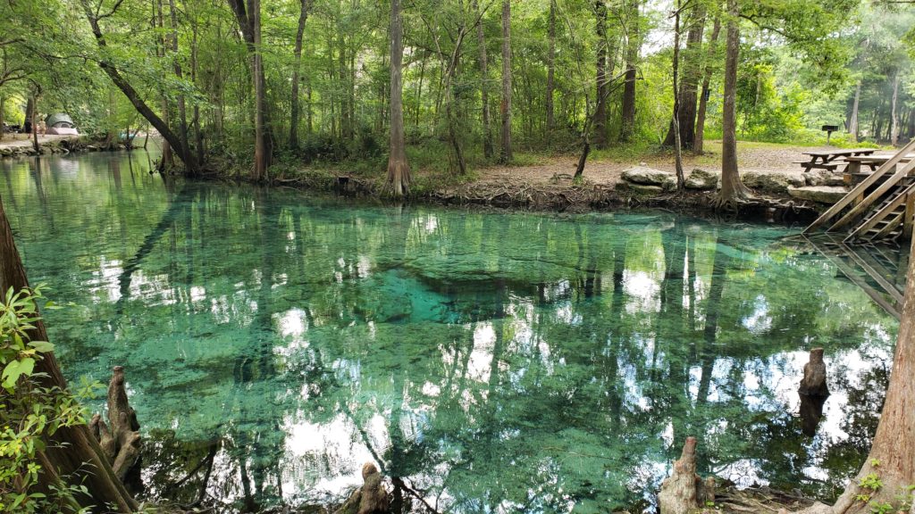 Ginnie Springs in North Florida