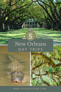 New Orleans Day Trips Pin
