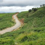 Motorbike Loop from Dalat, Vietnam: Best Itinerary