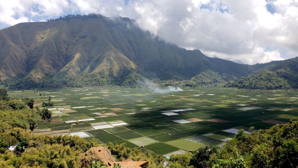 Rice field viewpoint