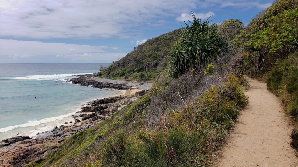 The East Coast on a track in Noosa National Park
